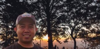 Menteri LH Target Tanam 2 Miliar Pohon, Greenpress Indonesia: 3 Juta Hektare Hutan yang Hilang Setara Berapa Miliar Pohon?