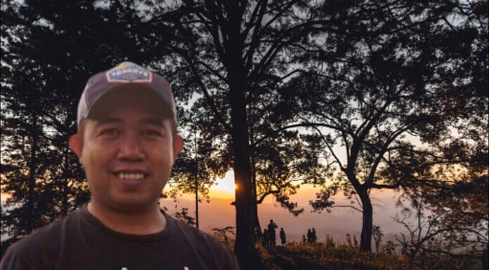 Menteri LH Target Tanam 2 Miliar Pohon, Greenpress Indonesia: 3 Juta Hektare Hutan yang Hilang Setara Berapa Miliar Pohon?