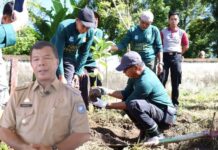 Pelopori Penanaman Pohon di Kindang, Andi Utta: Kindang Harus Dijaga dan Dilestarikan Untuk Masa Depan, Jangan Malas.