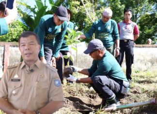 Pelopori Penanaman Pohon di Kindang, Andi Utta: Kindang Harus Dijaga dan Dilestarikan Untuk Masa Depan, Jangan Malas.