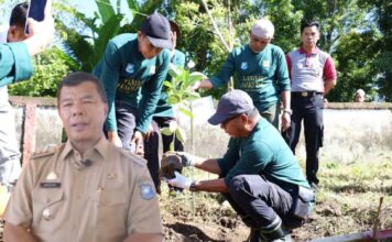 Pelopori Penanaman Pohon di Kindang, Andi Utta: Kindang Harus Dijaga dan Dilestarikan Untuk Masa Depan, Jangan Malas.