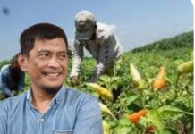 Lho. Kok Kemendagri Minta Daerah Tanam Cabai Untuk Kendali Harga? LASKAR: Itu Kewenangan Perdagangan, Jangan Bebani Rakyat