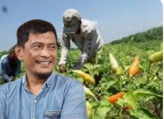 Lho. Kok Kemendagri Minta Daerah Tanam Cabai Untuk Kendali Harga? LASKAR: Itu Kewenangan Perdagangan, Jangan Bebani Rakyat