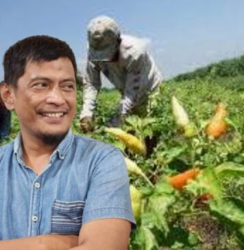 Lho. Kok Kemendagri Minta Daerah Tanam Cabai Untuk Kendali Harga? LASKAR: Itu Kewenangan Perdagangan, Jangan Bebani Rakyat