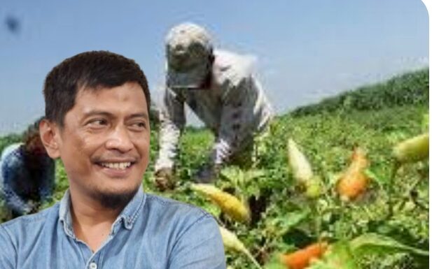 Lho. Kok Kemendagri Minta Daerah Tanam Cabai Untuk Kendali Harga? LASKAR: Itu Kewenangan Perdagangan, Jangan Bebani Rakyat
